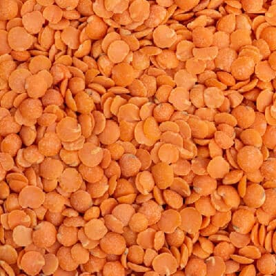 Red Lentils