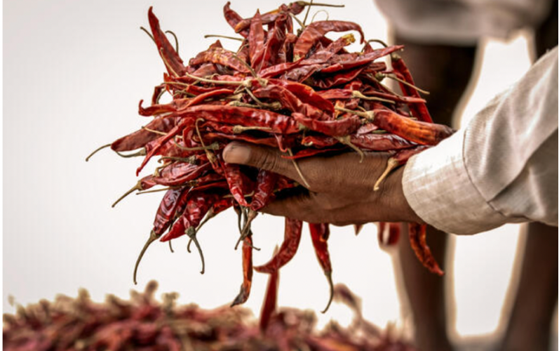 Red Dried Chilli