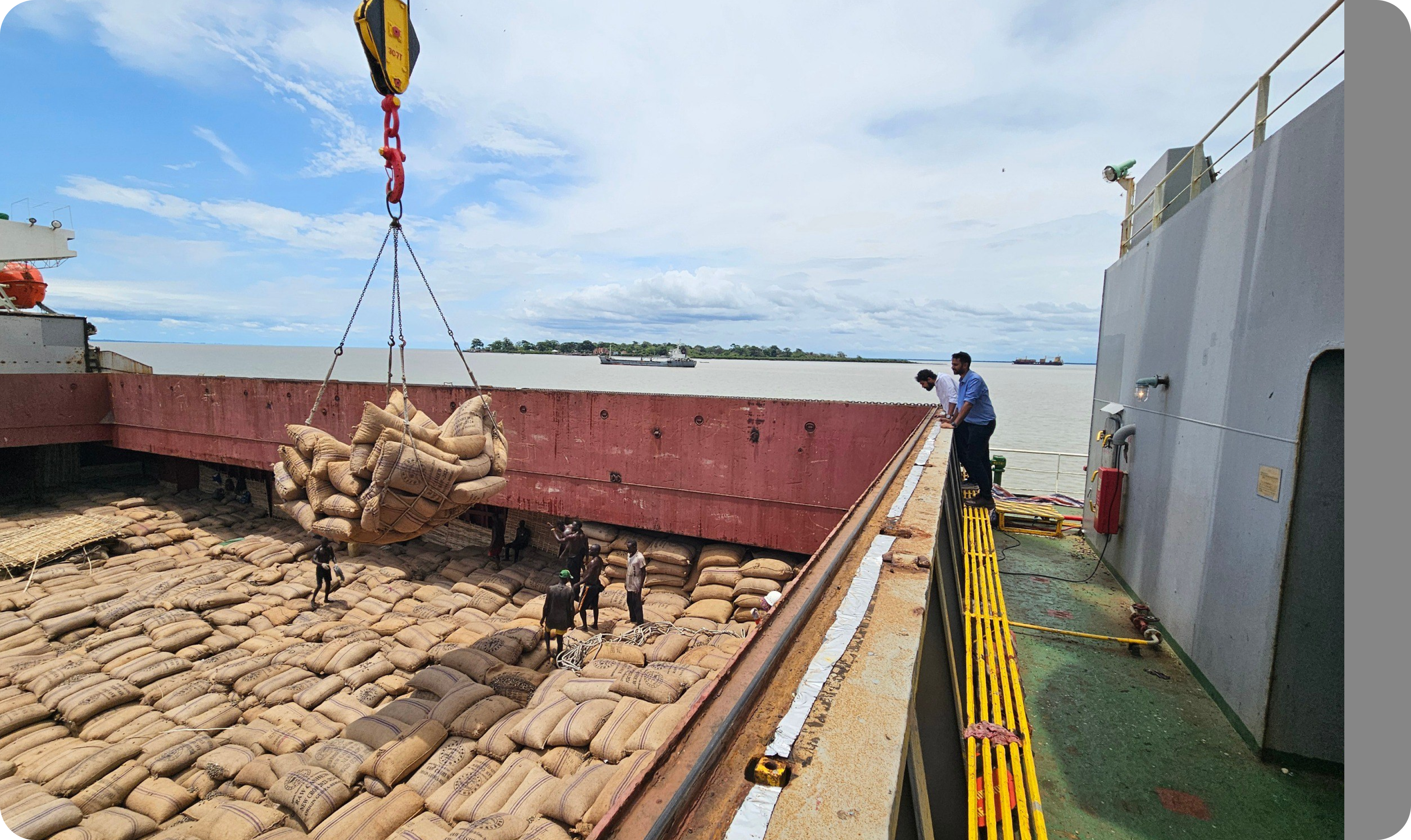 TN goes global via Africa